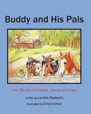 Buddy and His Pals: True stories of horses, llamas and cats by Radeschi, Loretta