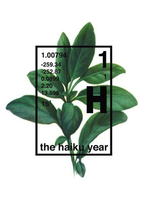 The Haiku Year by Stipe, Michael