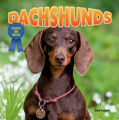 Dachshunds by Lopez, Dan