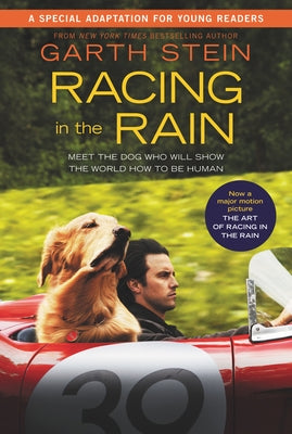 Racing in the Rain by Stein, Garth