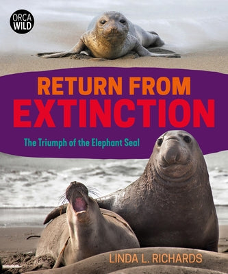 Return from Extinction: The Triumph of the Elephant Seal by Richards, Linda L.