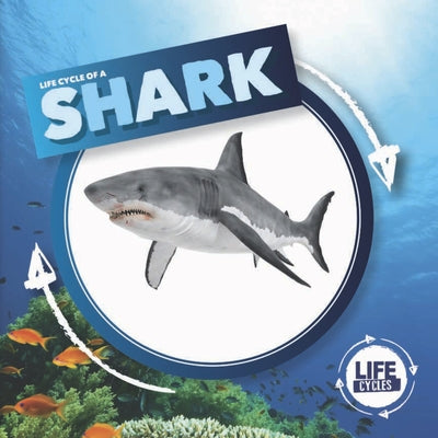 Shark by Duhig, Holly