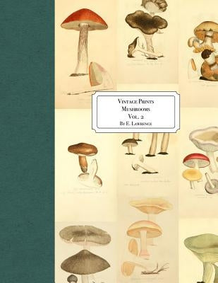 Vintage Prints: Mushrooms: Vol. 2 by Lawrence, E.