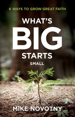 What's Big Starts Small by Novotny, Mike