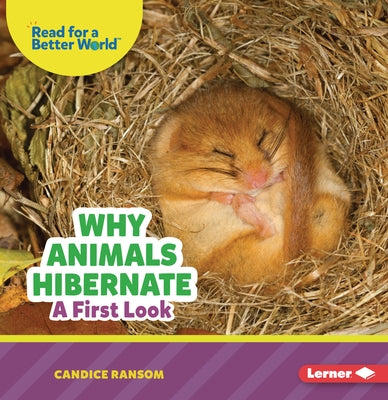 Why Animals Hibernate: A First Look by Ransom, Candice