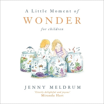 A Little Moment of Wonder for Children by Meldrum, Jenny