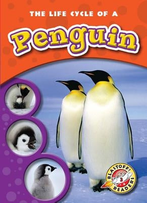 The Life Cycle of a Penguin by Sexton, Colleen