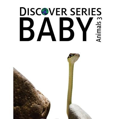 Baby Animals 3: Discover Series Picture Book for Children by Publishing, Xist