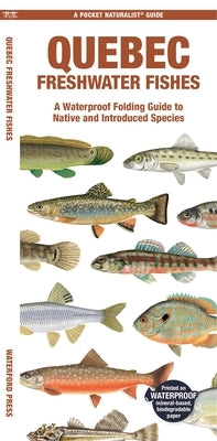 Quebec Freshwater Fishes: A Waterproof Folding Guide to Native and Introduced Species by Morris, Matthew