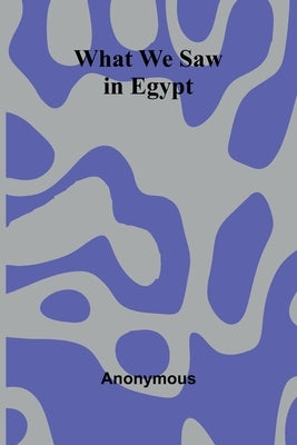 What We Saw In Egypt by Anonymous
