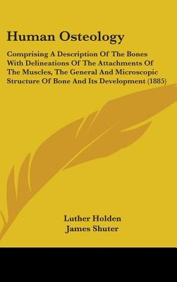 Human Osteology: Comprising A Description Of The Bones With Delineations Of The Attachments Of The Muscles, The General And Microscopic by Holden, Luther