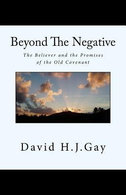 Beyond The Negative: The Believer and the Promises of the Old Covenant by Gay, David H. J.