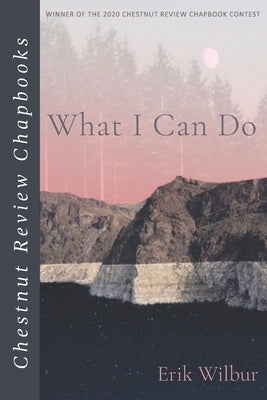 What I Can Do by Wilbur, Erik