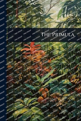 The Primula by Anonymous