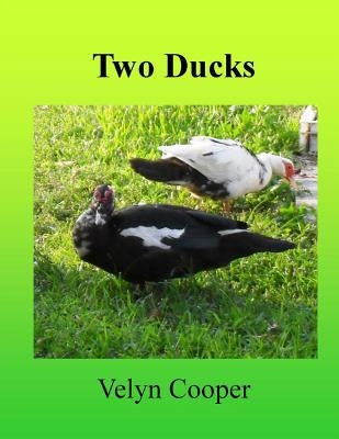 Two Ducks by Cooper, Velyn