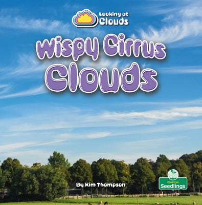 Wispy Cirrus Clouds by Thompson, Kim