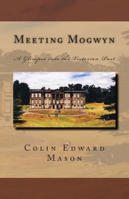 Meeting Mogwyn: A Glimpse into the Victorian Past by Gabriel, Lisa Marie
