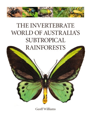 The Invertebrate World of Australia's Subtropical Rainforests by Williams, Geoff