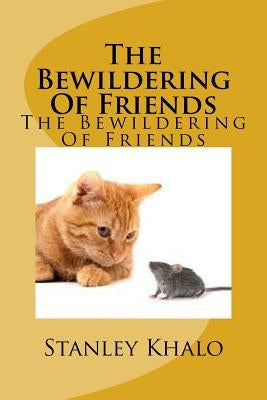 The Bewildering Of Friends: The Bewildering Of Friensd by Khalo, Stanley Mahlatse