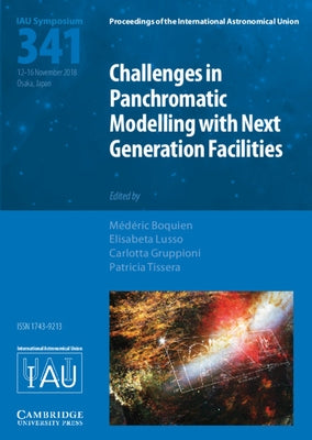 Challenges in Panchromatic Modelling with Next Generation Facilities (Iau S341) by Boquien, Médéric
