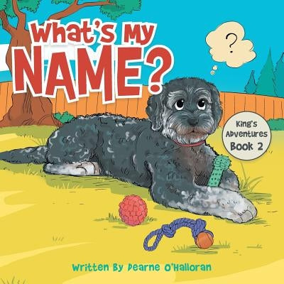 What's My Name?: King's Adventures Book 2 by O'Halloran, Dearne
