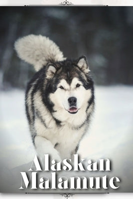 Alaskan Malamute: Dog breed overview and guide by Pustova, Nina
