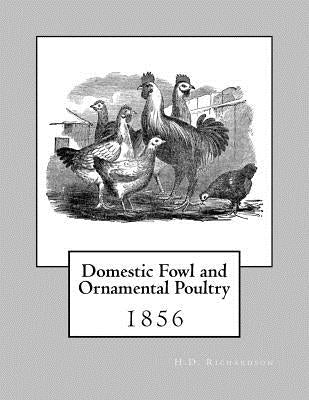 Domestic Fowl and Ornamental Poultry by Chambers, Jackson