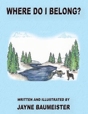 Where Do I Belong by Baumeister, Jayne