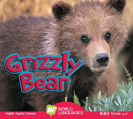 Grizzly Bear by Durrie, Karen