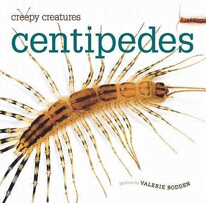 Centipedes by Bodden, Valerie