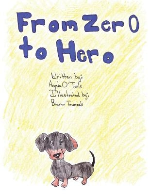From Zero to Hero by O'Toole, Angela T.