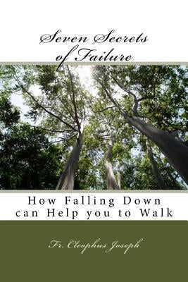 Seven Secrets of Failure: How Falling Down can Help you to Walk by St Omer, Trona