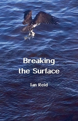 Breaking the Surface by Reid, Ian