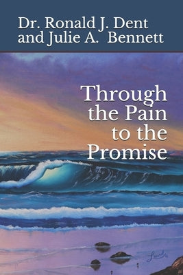 Through the Pain to the Promise by Stevenson, Lucille