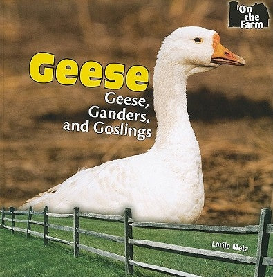 Geese by Metz, Lorijo