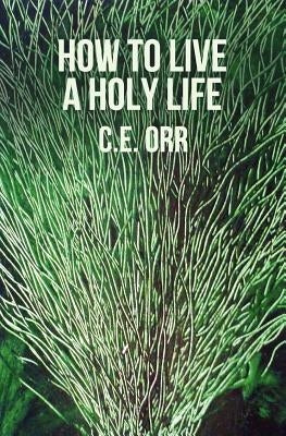 How To Live A Holy Life by Orr, C. E.