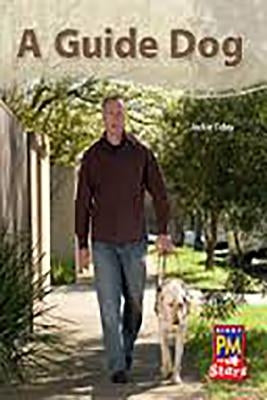A Guide Dog: Individual Student Edition Blue (Levels 9-11) by Rg, Rg