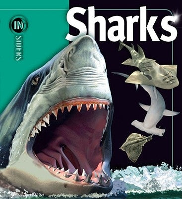 Sharks by McMillan, Beverly