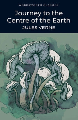 Journey to the Centre of the Earth by Verne, Jules
