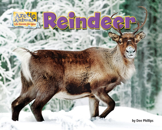 Reindeer by Phillips, Dee