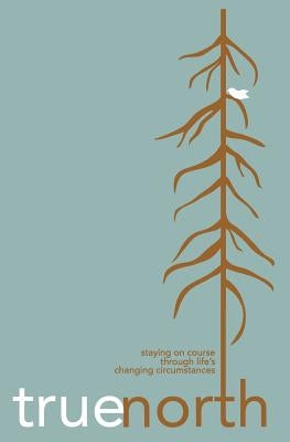 True North: Staying on Course Through Life's Changing Circumstances by Braddy, Judi