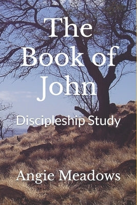 The Book of John: Discipleship Study by Meadows, Angie