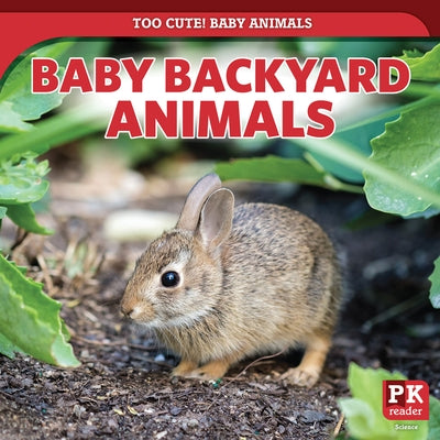 Baby Backyard Animals by Morlock, Rachael