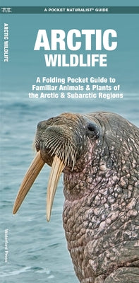Arctic Wildlife: A Folding Pocket Guide to Familiar Animals & Plants of the Arctic and Subarctic Regions by Kavanagh, James