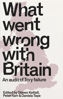 What Went Wrong with Britain?: An Audit of Tory Failure by Kettell, Steven