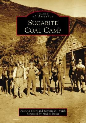 Sugarite Coal Camp by Veltri, Patricia