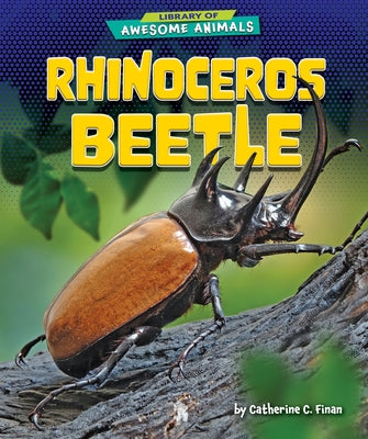 Rhinoceros Beetle by Finan, Catherine C.