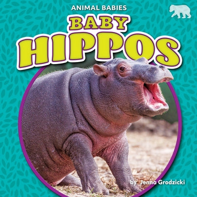 Baby Hippos by Grodzicki, Jenna