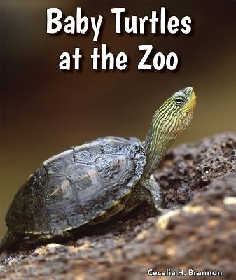 Baby Turtles at the Zoo by Brannon, Cecelia H.