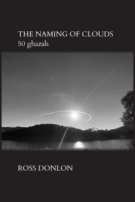 The Naming of Clouds by Donlon, Ross